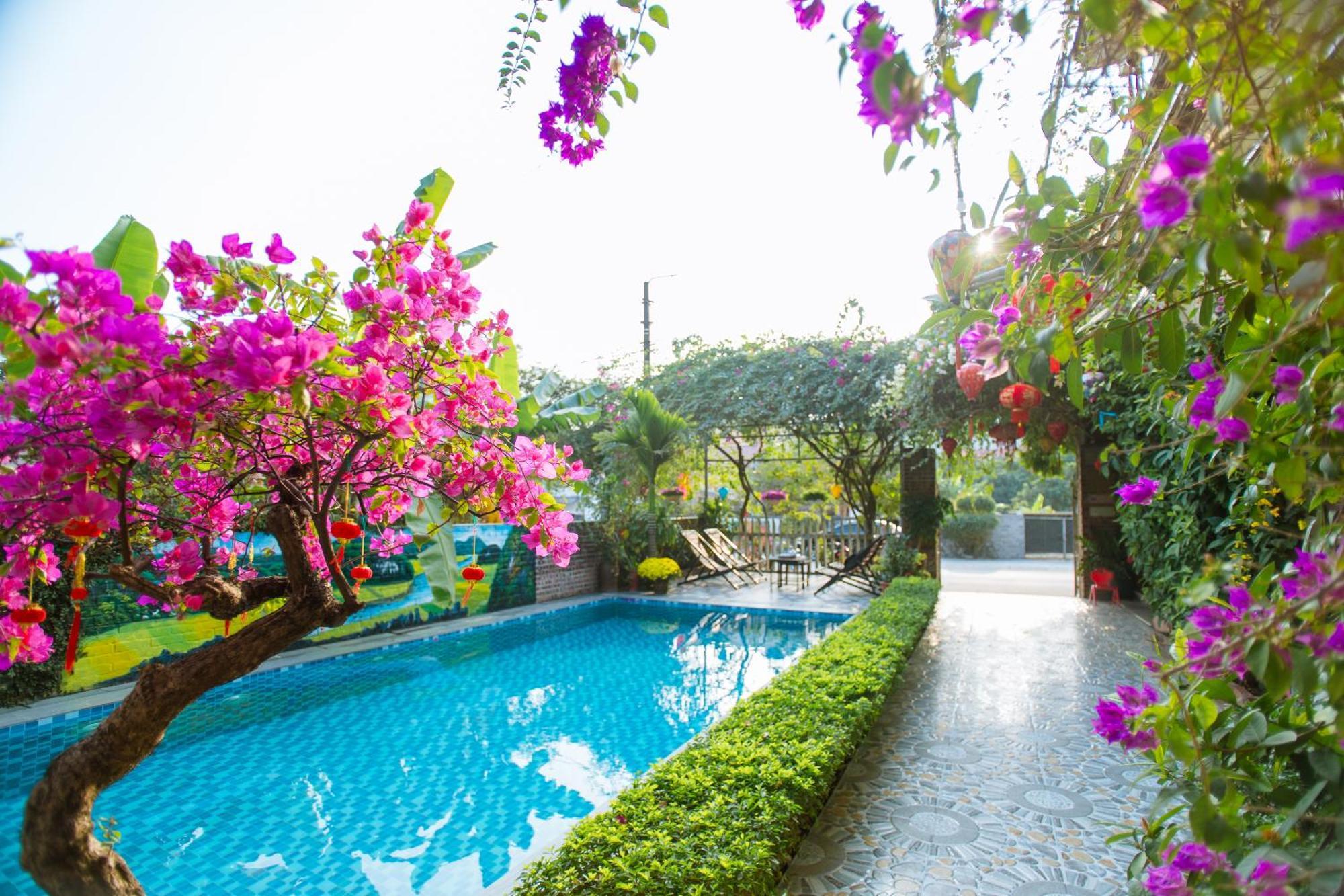 Tam Coc Viet Ha Homestay Ninh Binh Exterior foto