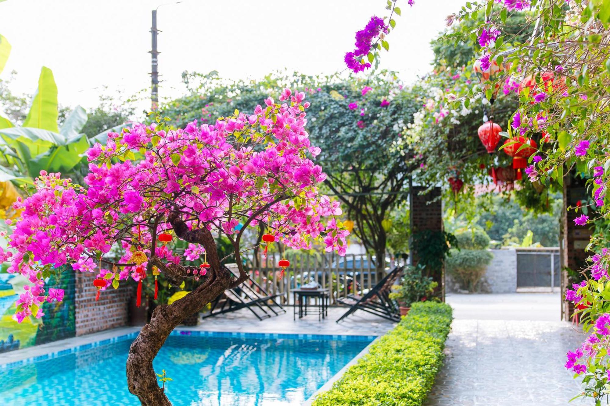 Tam Coc Viet Ha Homestay Ninh Binh Exterior foto